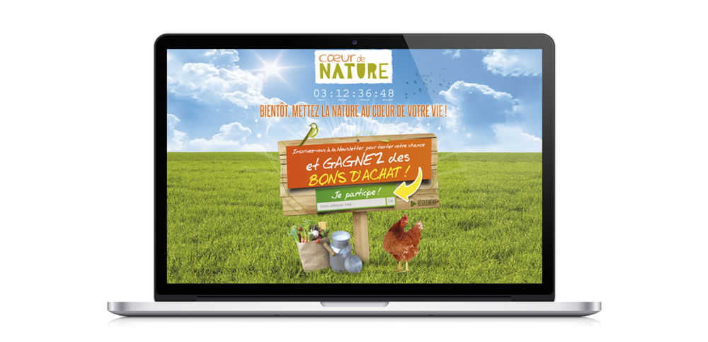 Home de lancement du site web
